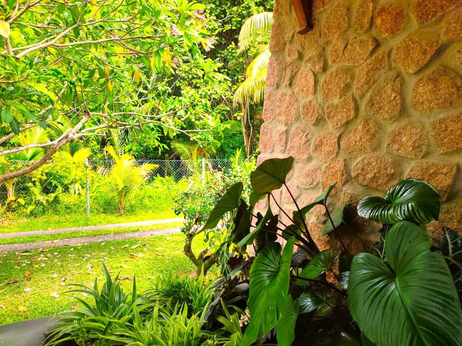 The Islander Hotel Grand Anse  Exteriör bild